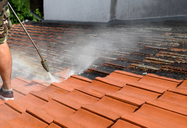 Best Pressure Washing Company Near Me  in Ludlow, KY