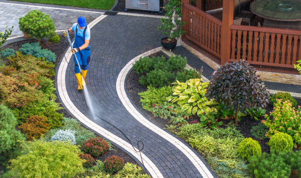 Local Pressure Washing Services in Ludlow, KY