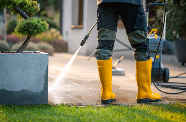 Best Pressure Washing Near Me  in Ludlow, KY